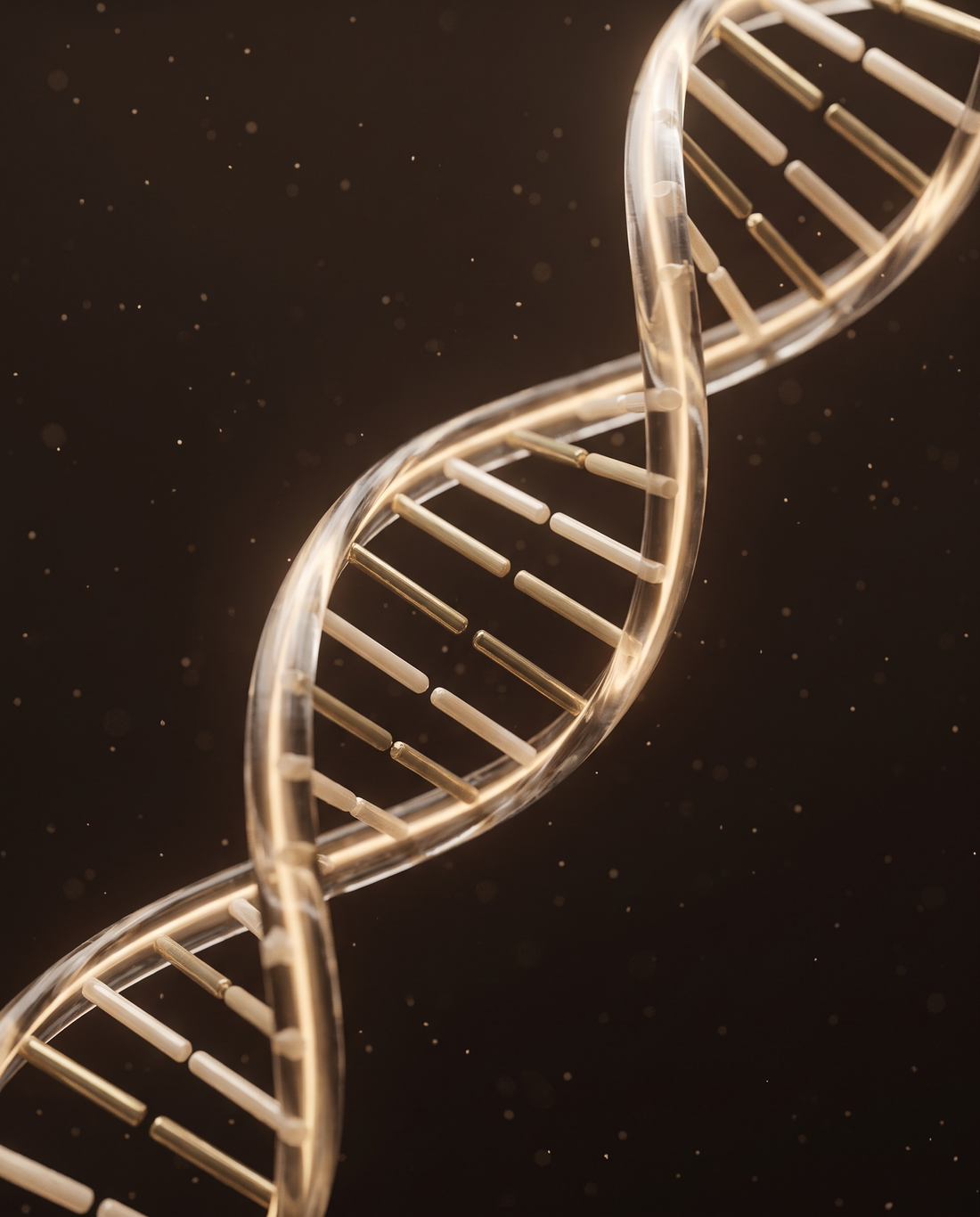 Energy that starts in the cell